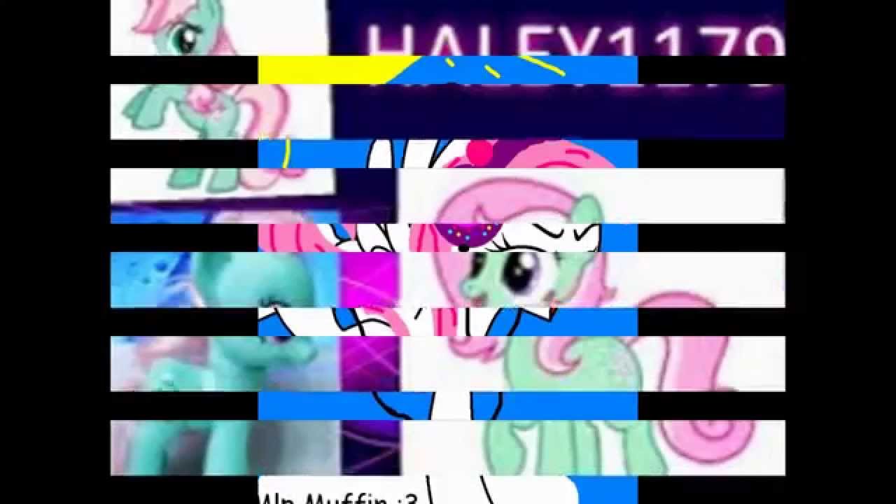 MLP: Members of the Pegasister Pals! (NEW MEMBERS!)