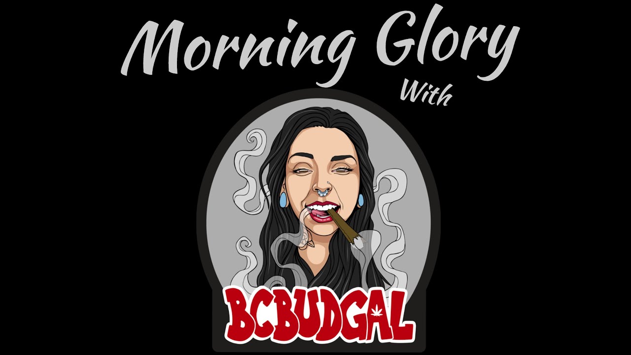 Morning Glory with BcBudGal: Lets Get Trippy