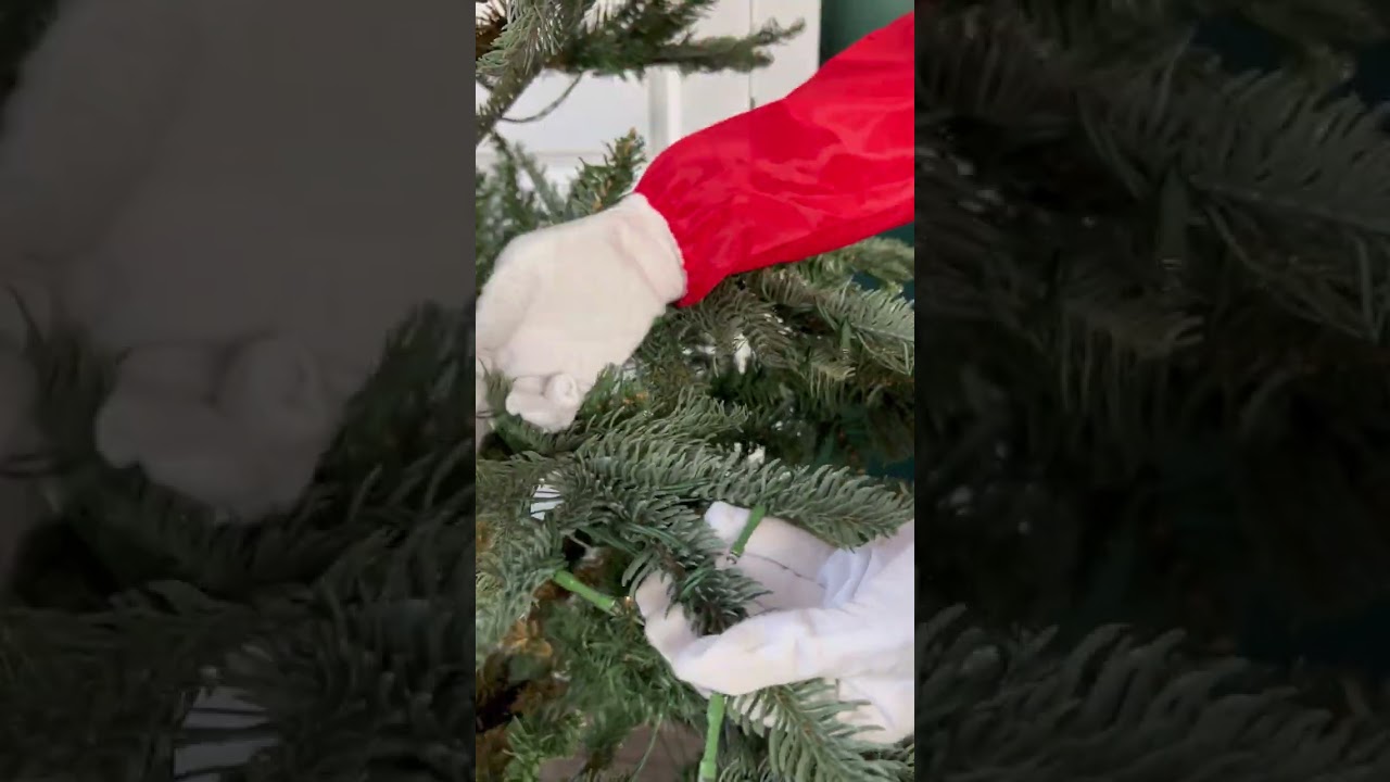 How to fluff a christmas tree