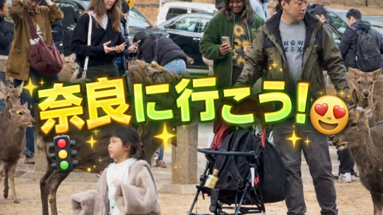奈良の鹿が可愛すぎる‼️🦌✨ 家族奈良公園へ行ってみた奈良の鹿がくれた、家族の宝物の瞬間