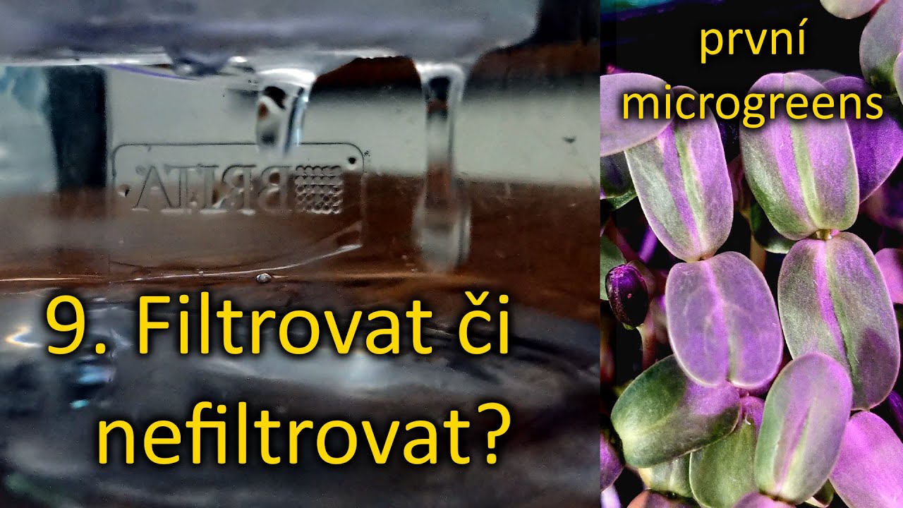 9. Filtrační konvice, dešťová voda nebo kohoutková?