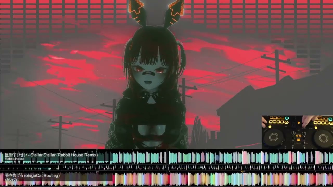 Vidi's Birthday DJ Set