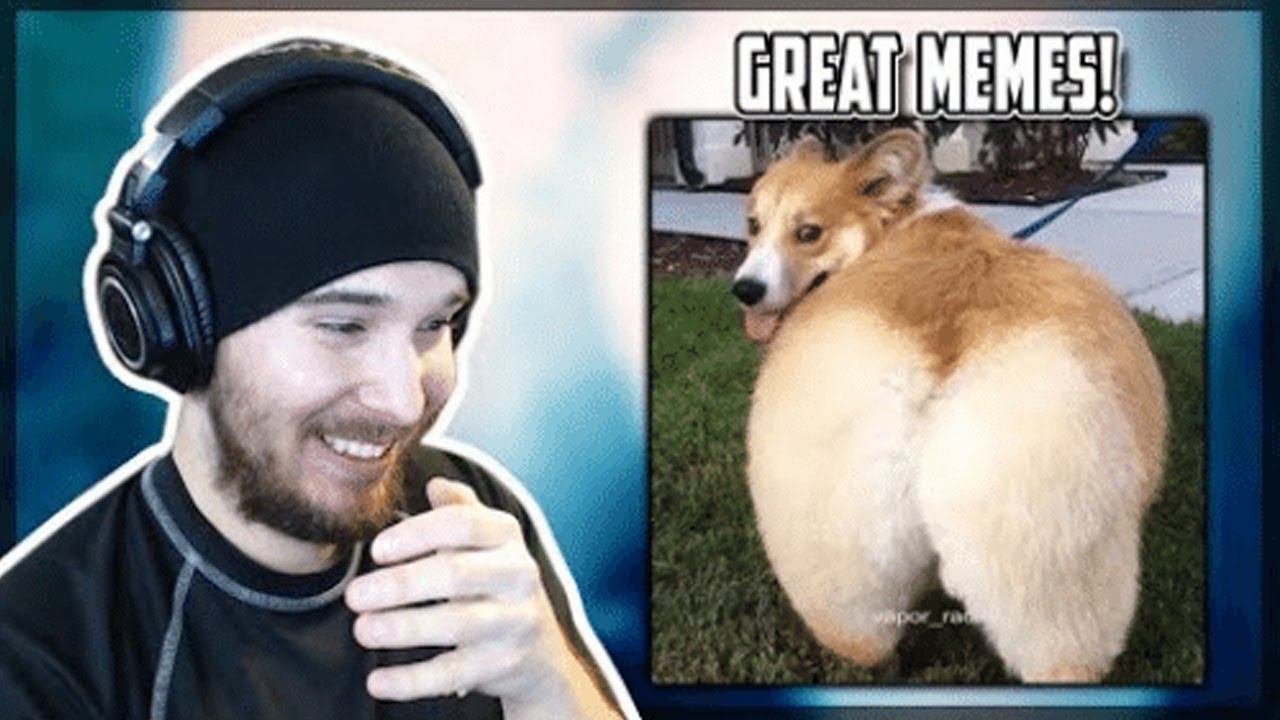 GREAT MEMES! - Reacting to DANK MEME COMP v41 (Charmx reupload)