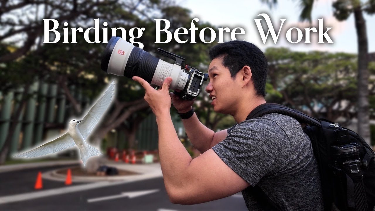 Birding Before My 12-Hour Hospital Shifts - Manu-o-Kū of Honolulu