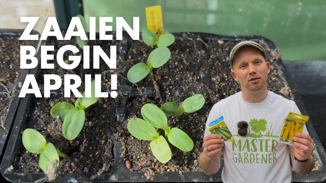 Wat zaaien in BEGIN APRIL? 🌱 6 verrassende moestuin toppers! | De Moesketier