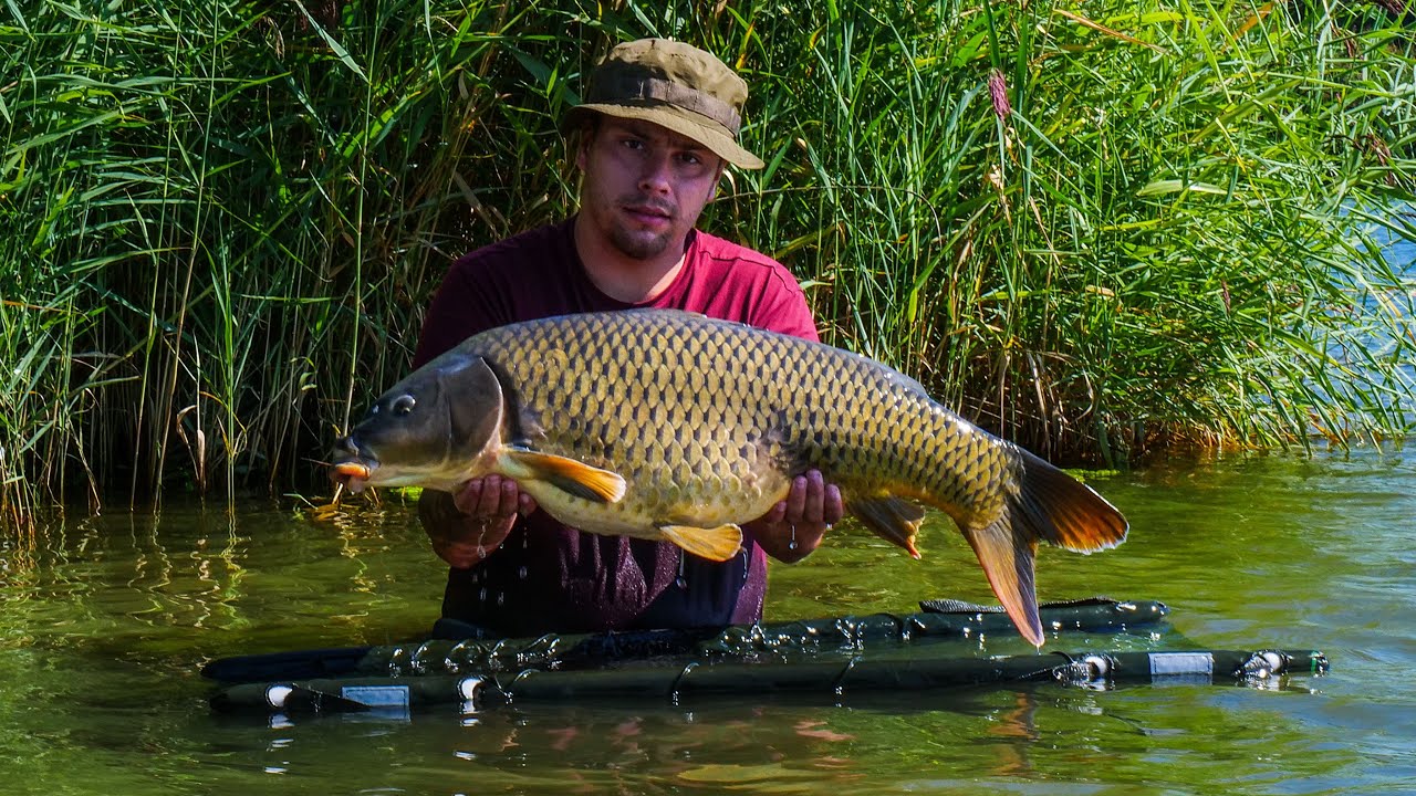 Lov kaprov z brehu a z člna [Vodná nádrž Kráľová Boat fishing] #5  #kordaslovakia #mainlinebaits