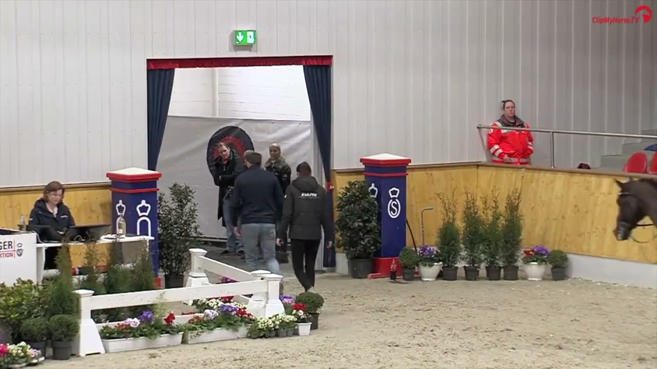 Coeur Rouge Oldenburger Hengst-Gala Vechta 2025