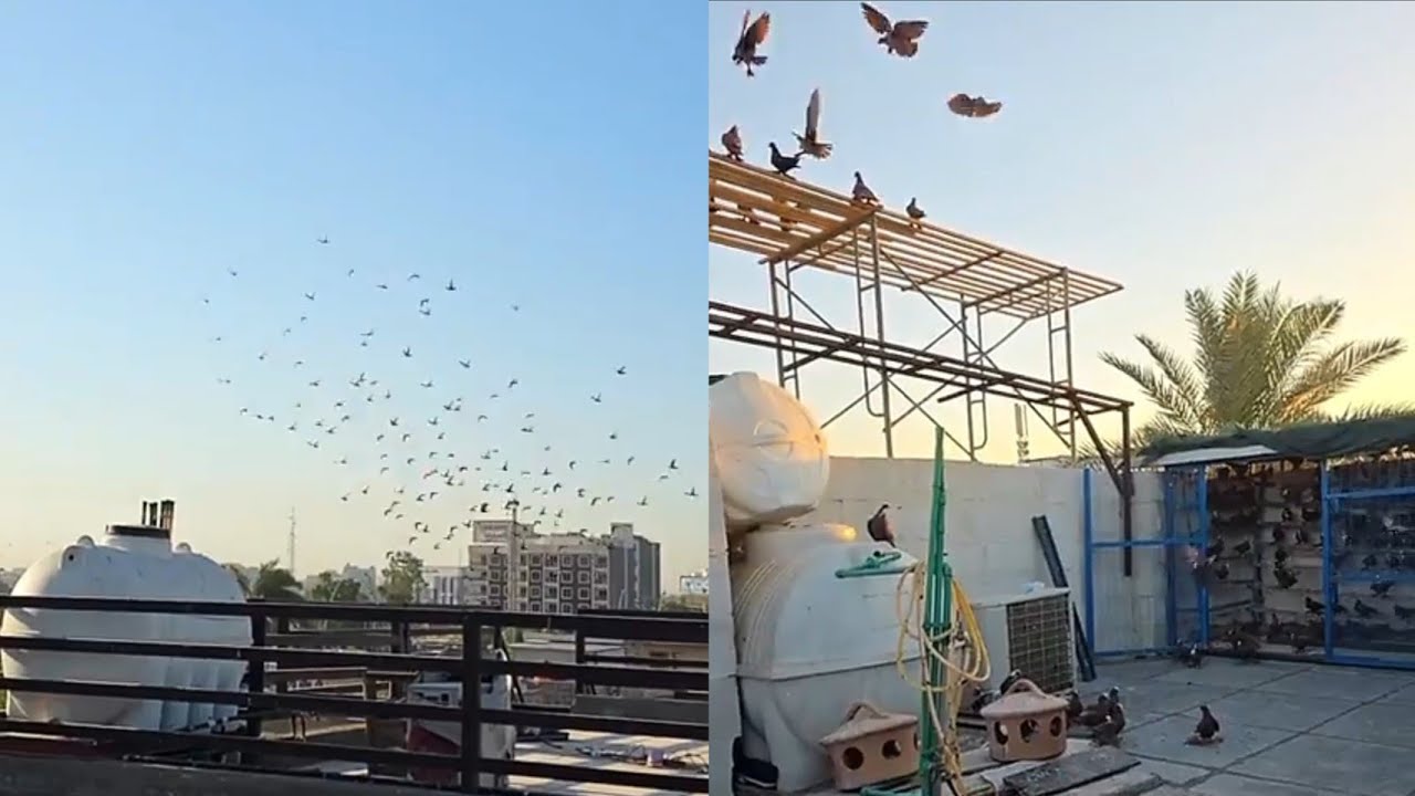 زياره ميدانيه يم الكابتن رافت ابو تبارك فصل الصبح