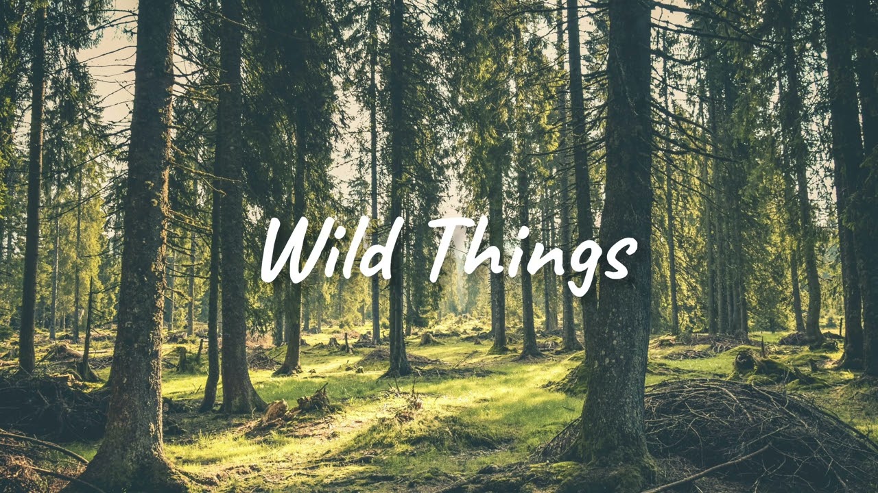 [FREE] Luke Combs Country Type Beat (prod. caleb avery) | wild things