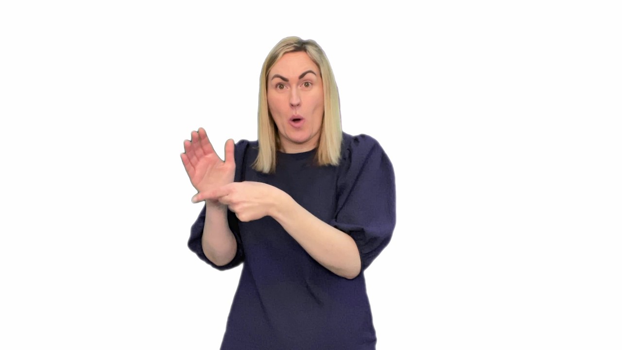 Committee for Communities – Sign Language Bill - Executive Summary and Recommendations (BSL)