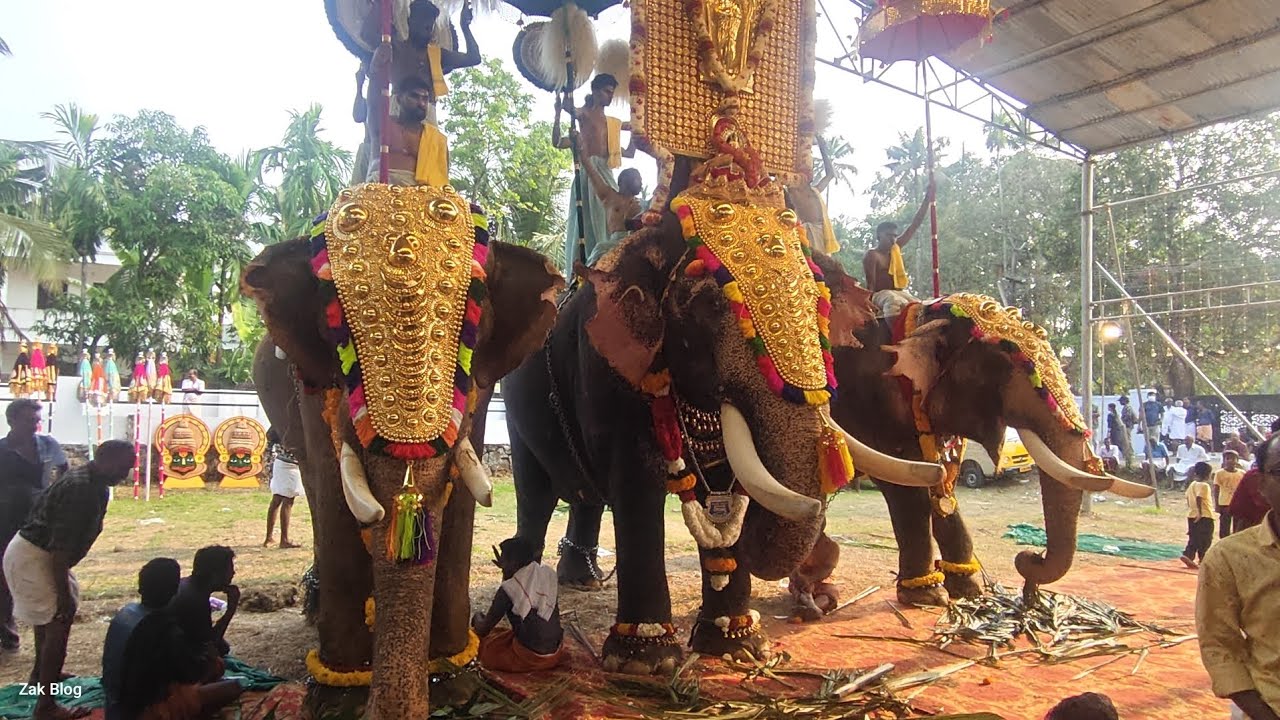 പെരിങ്ങോട്ടുകര സോമശേഖര ക്ഷേത്ര മഹോത്സവം 2026 | Peringottukara Somasekara pooram 2026