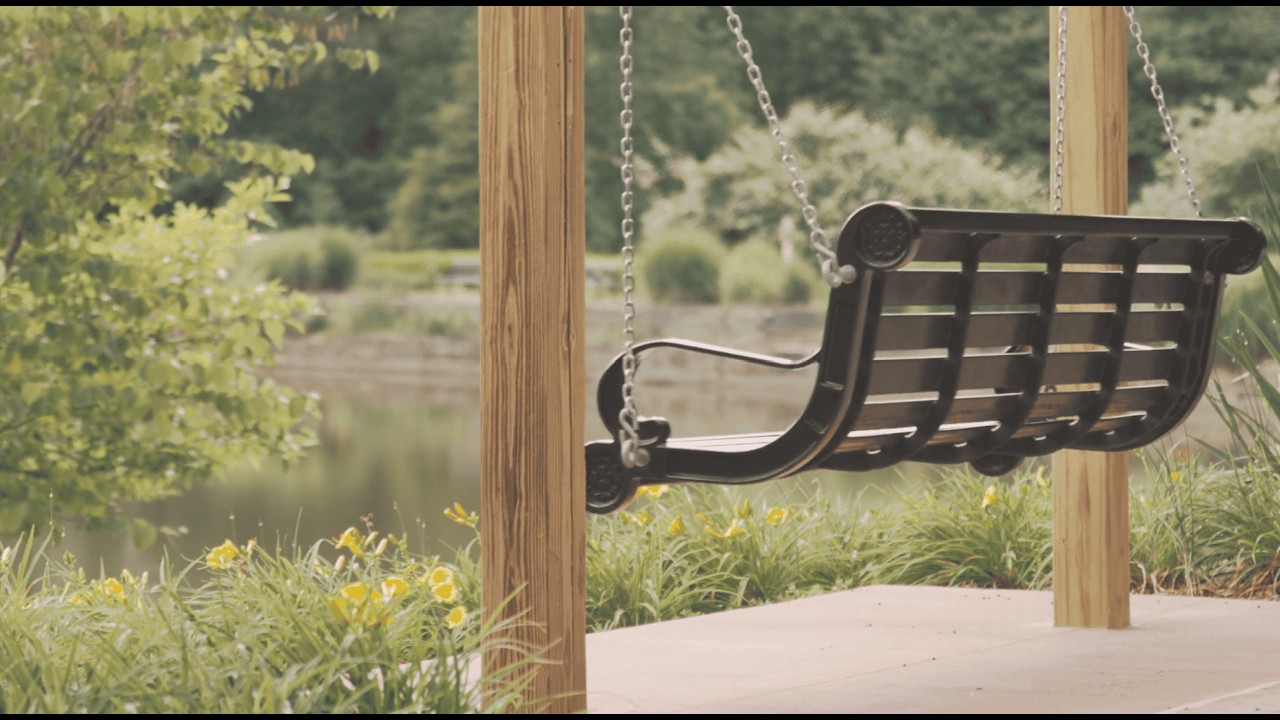 Sunlit Bird Park Ambience | 10 Hours of Calm Nature Sounds