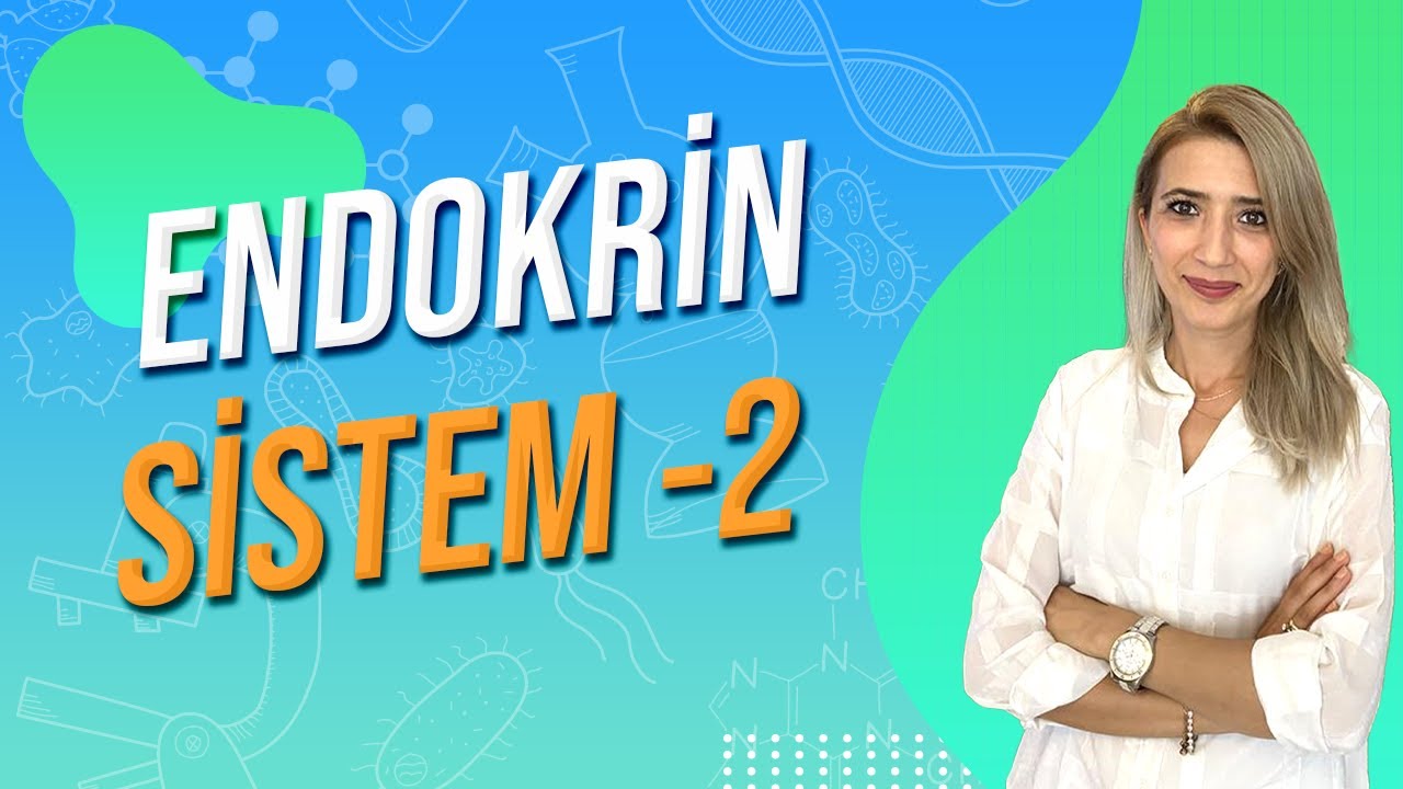 Endokrin Sistem - 2 | Seda Hoca Biyoloji ( 4. Ders ) #sedahocabiyoloji #ayt2024