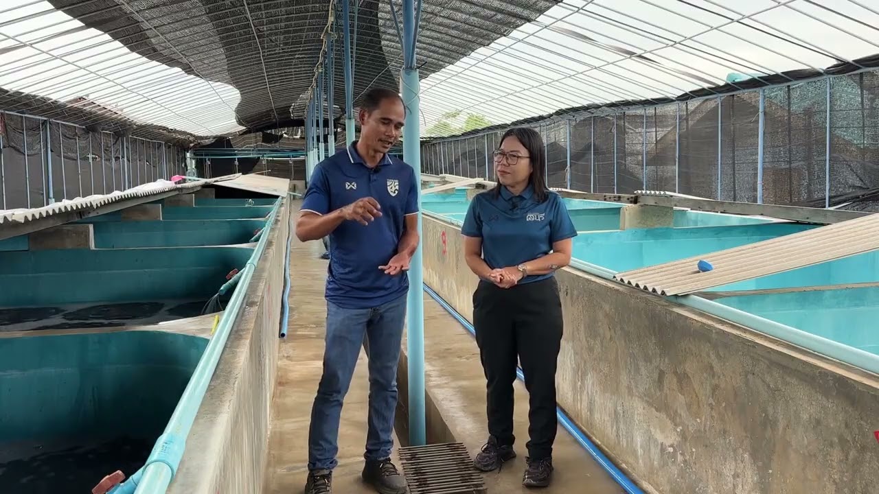 นายสมยศ สังข์ด้วง ศพก.เครือข่ายด้านประมง จ.สุพรรณ ที่ได้รับการพัฒนาและยกระดับ ปี 2568