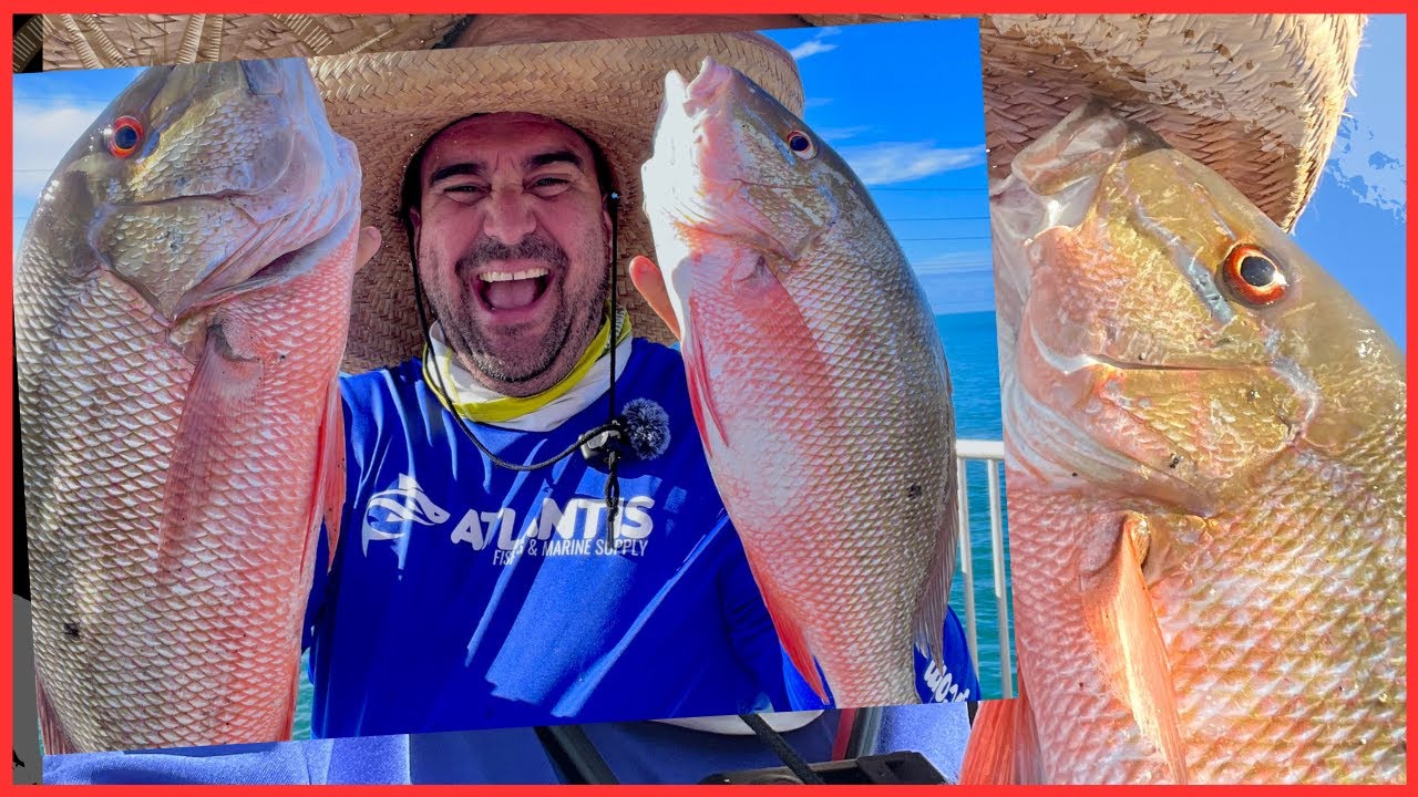 Pargo de mas de 26 Pulgadas agarrado en Long Key