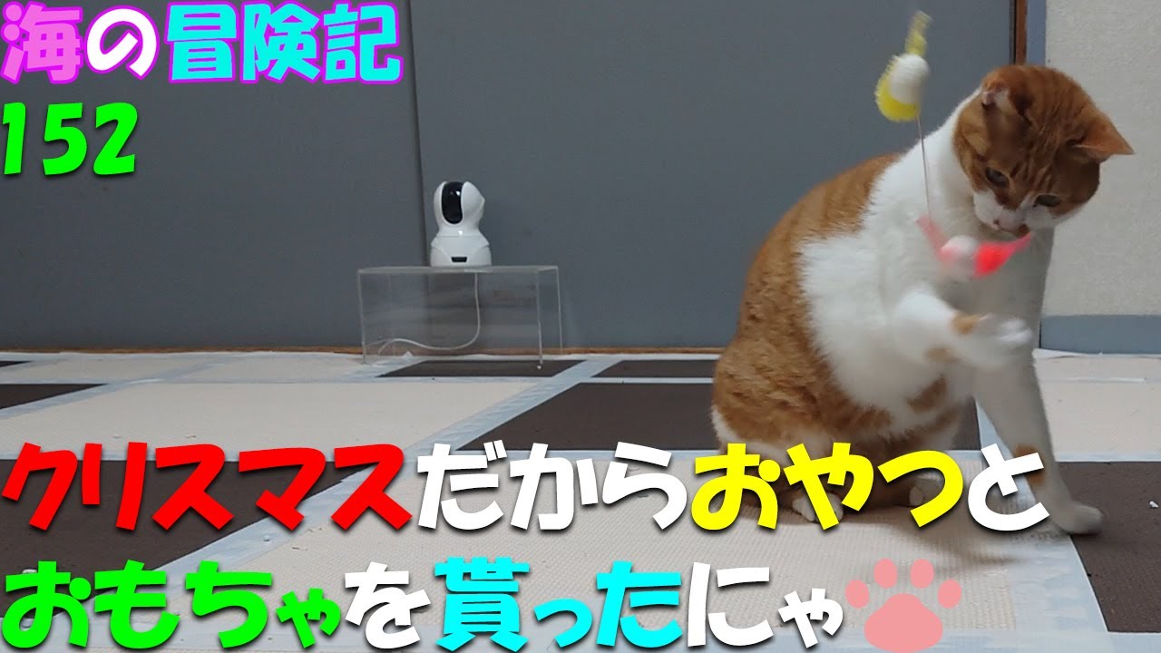 152　メリークリスマスにゃ
