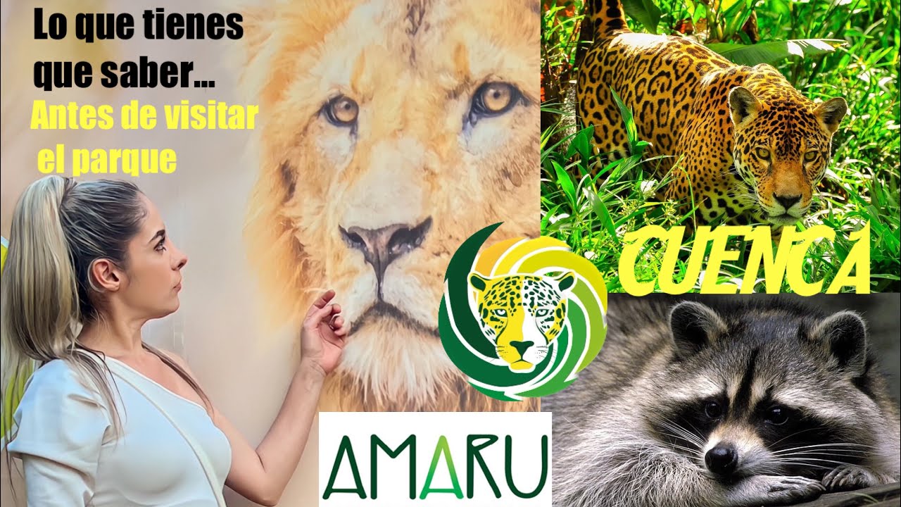 Bioparque Amaru 2025 Zoológico CUENCA #turismoecuador #cuenca  #cuencacity