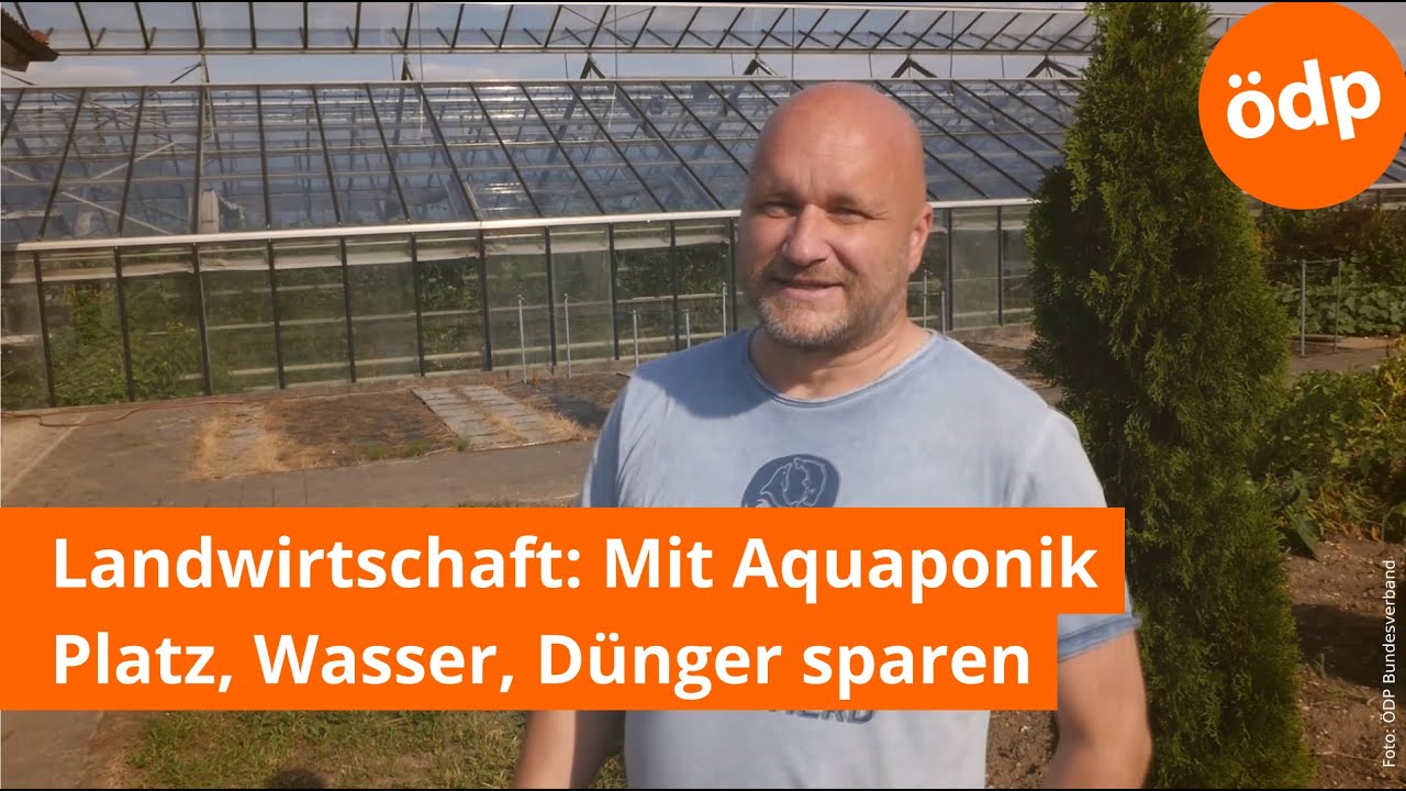 Aquaponik: Platz, Wasser, Dünger sparen