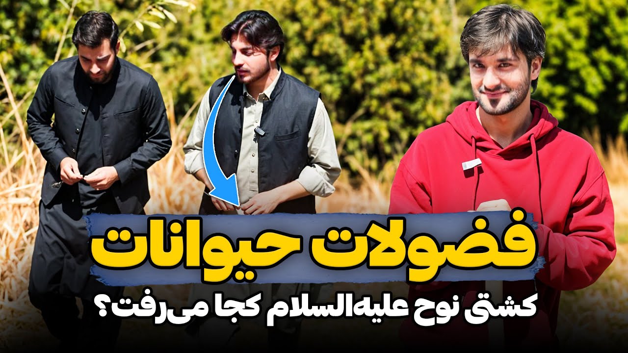 سوالات بیهوده و بی مورد | دکتور احمد شهرام وفایی