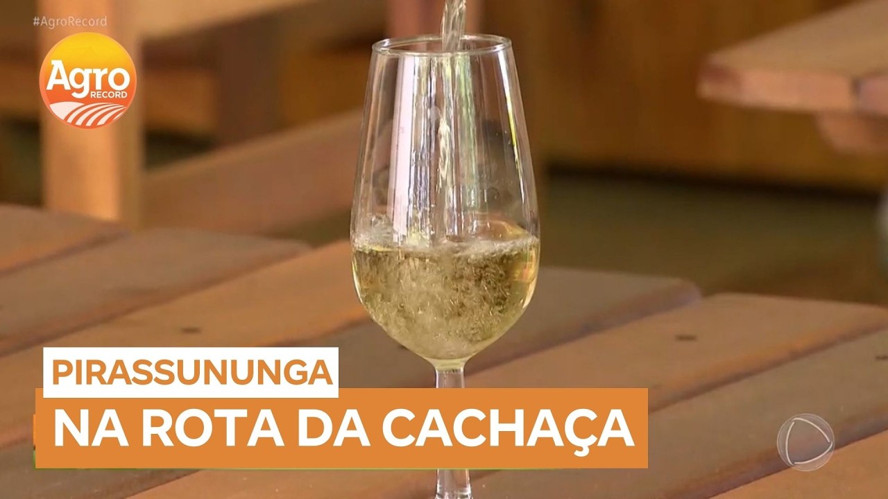 Pirassununga agora integra Rota da Cachaça de São Paulo e fortalece turismo