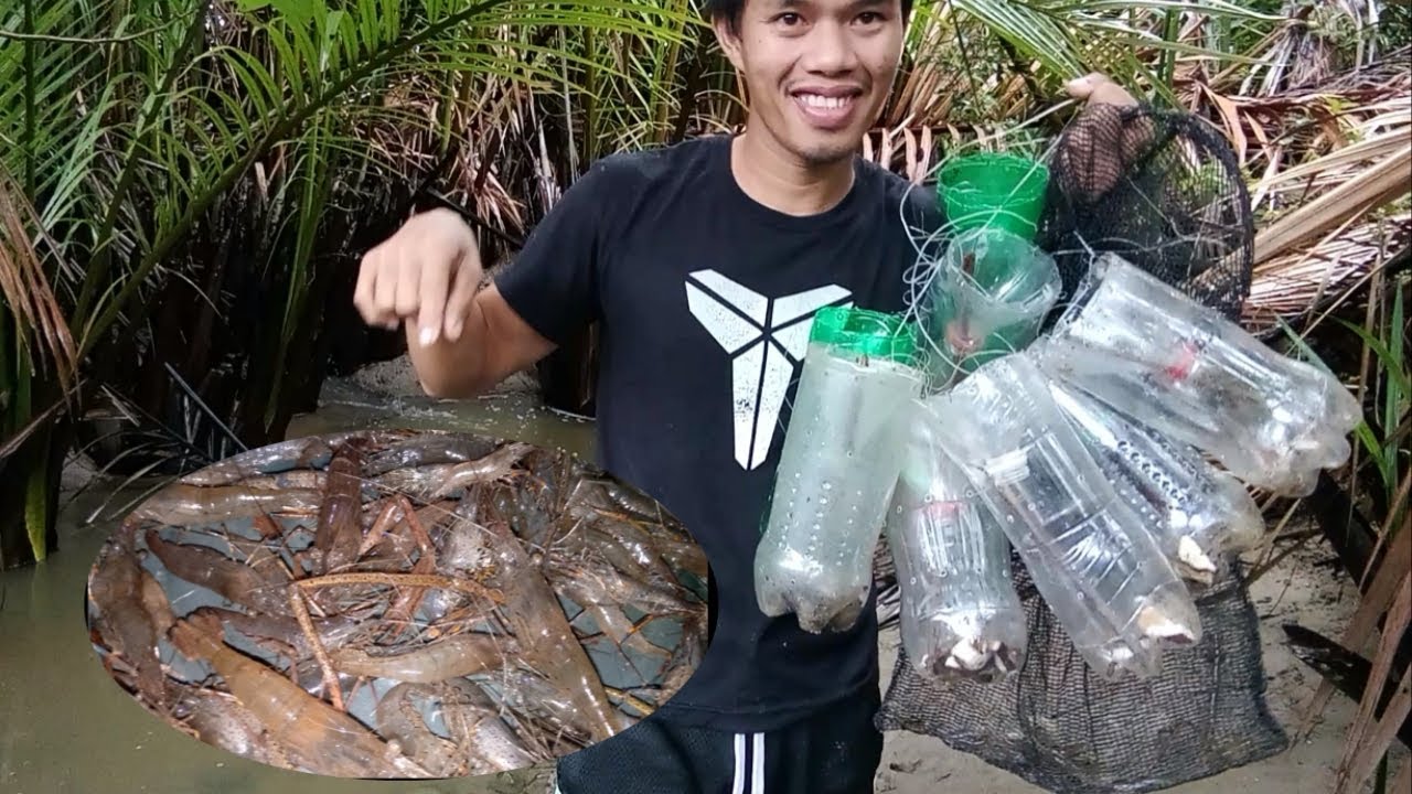 Pag maraming trap mas maraming huli. Trap para sa pukot o ulang fresh water shrimp 🦐🦐 parapadagattv