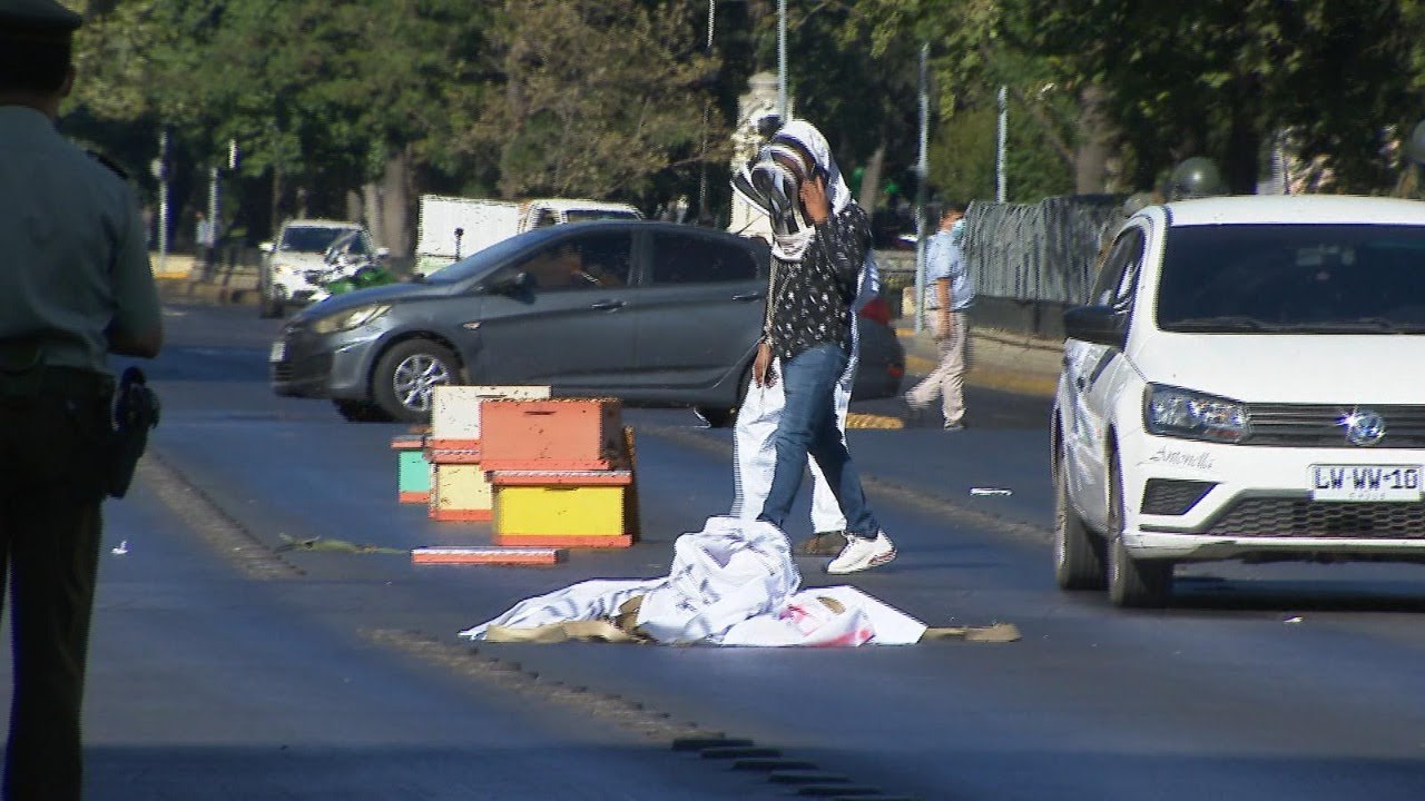 Apicultores bloquean Alameda con cajas de abejas para protestar por la sequía