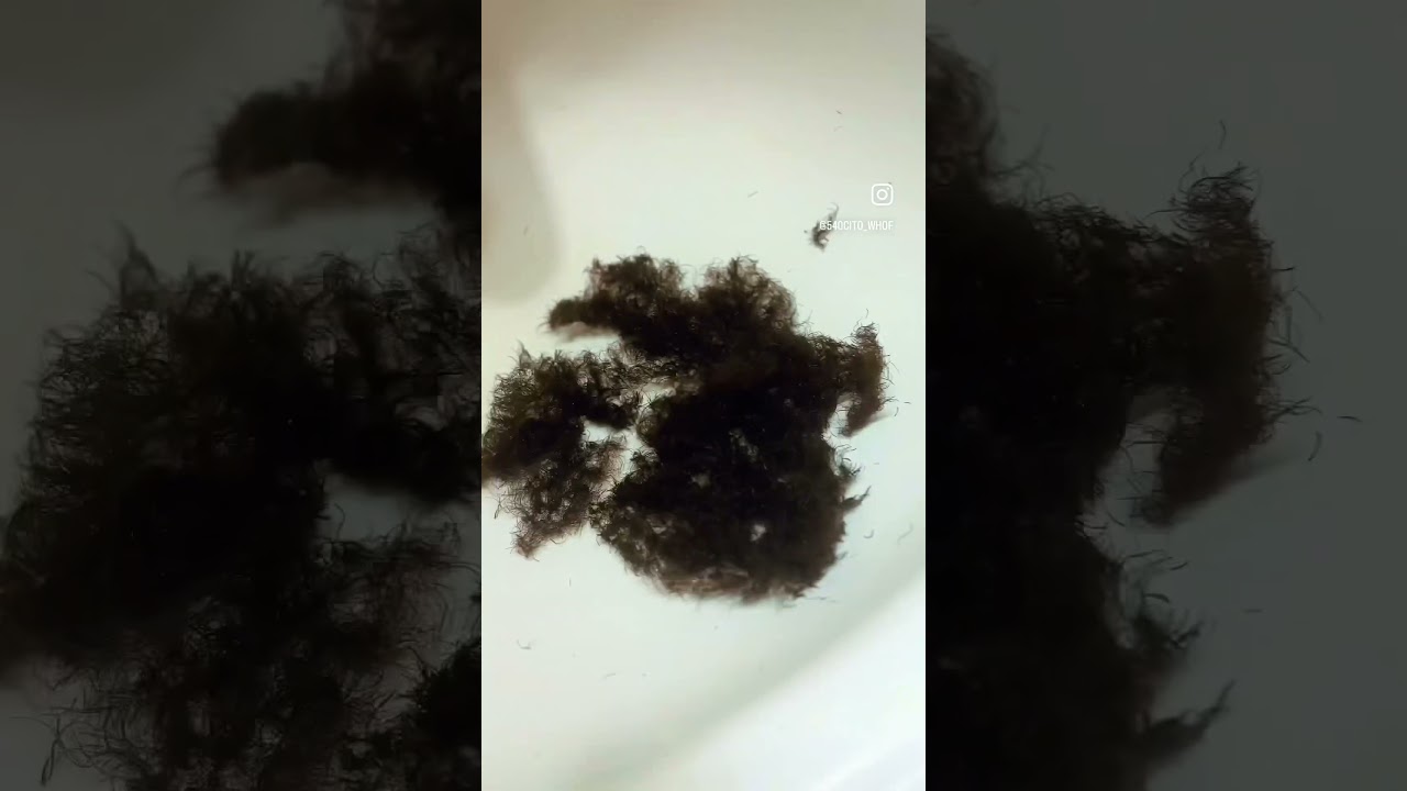Cutting ATG using the GB crown cutting method as well. Update coming #360waves #hairstyles #360waver