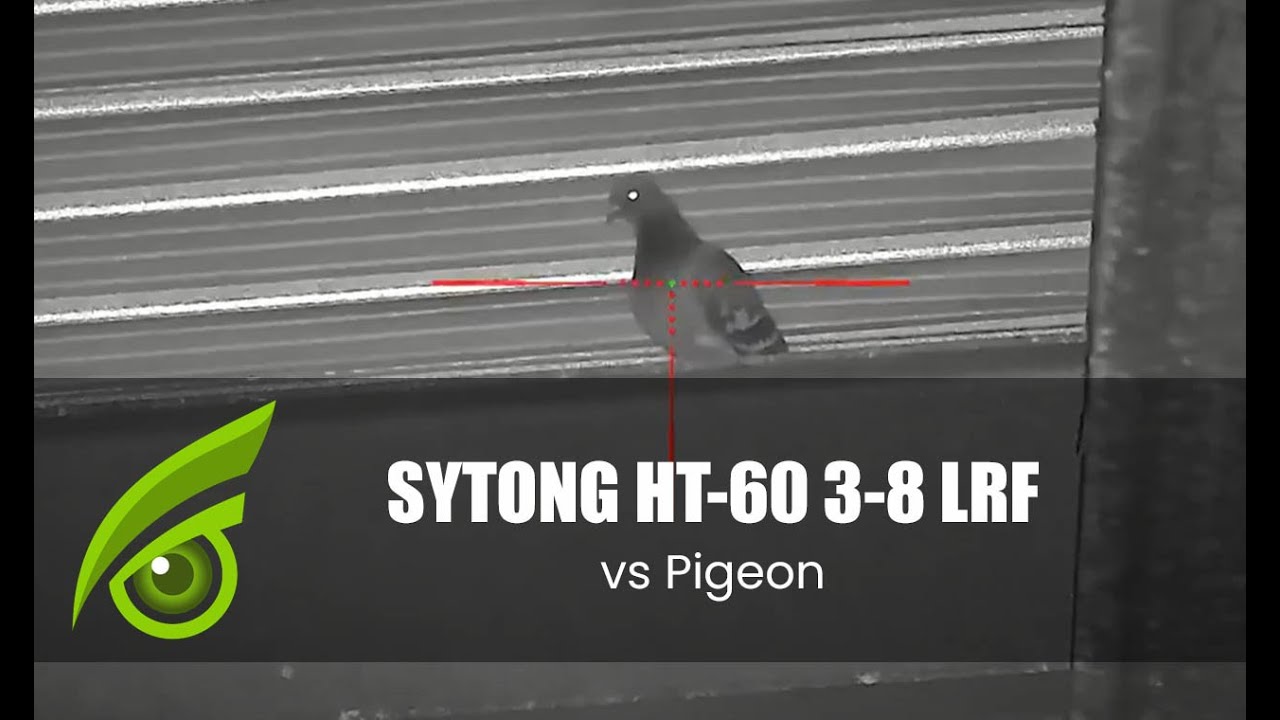 Sytong HT-60 LRF 3x-8x Digital Night Vision Pigeon Shooting