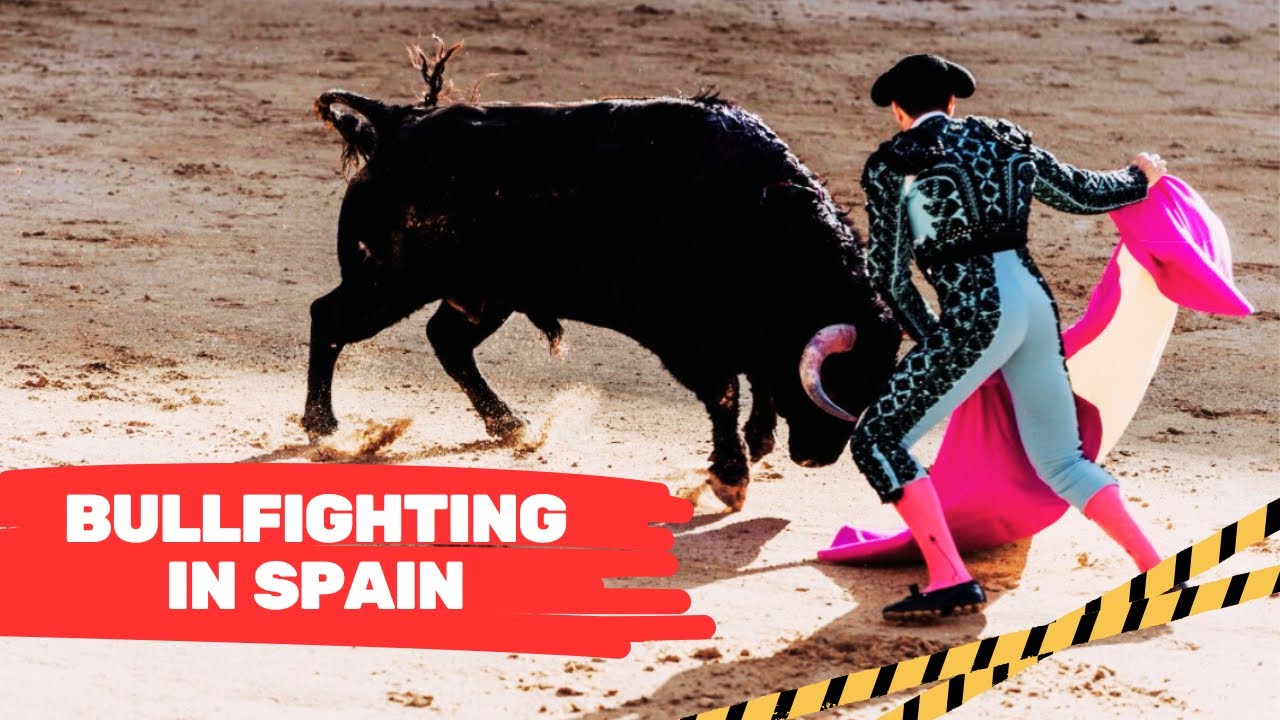 Bullfighting: Art Form or Animal Cruelty?