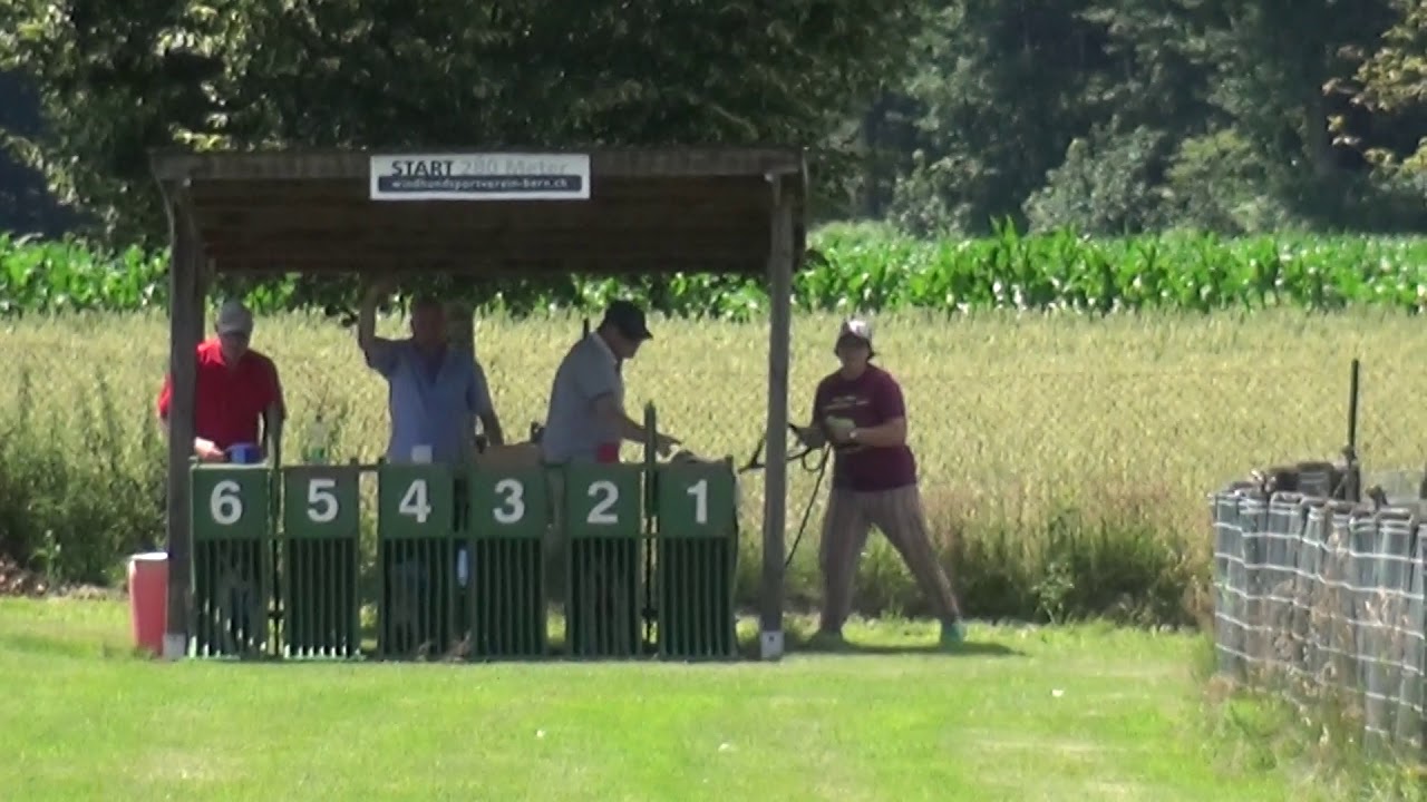 GP Lotzwil 2020 Silken Windsprite Rüden