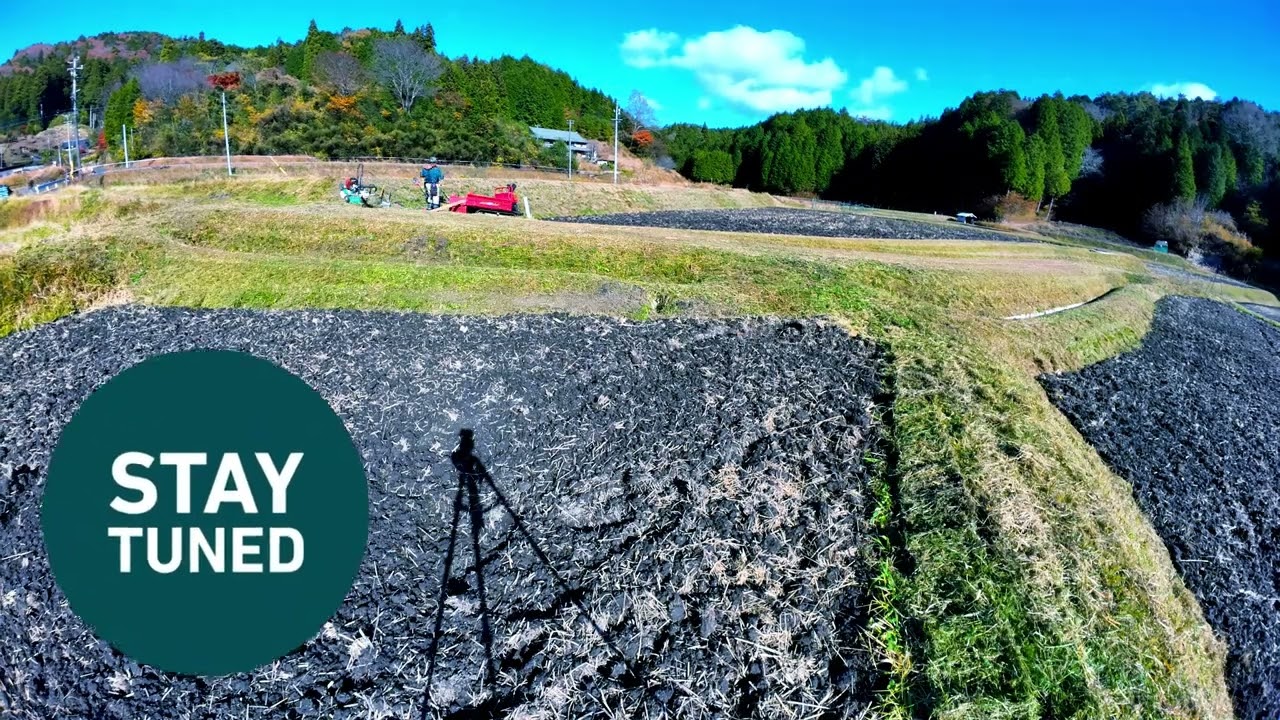 20251126草刈り作業４９