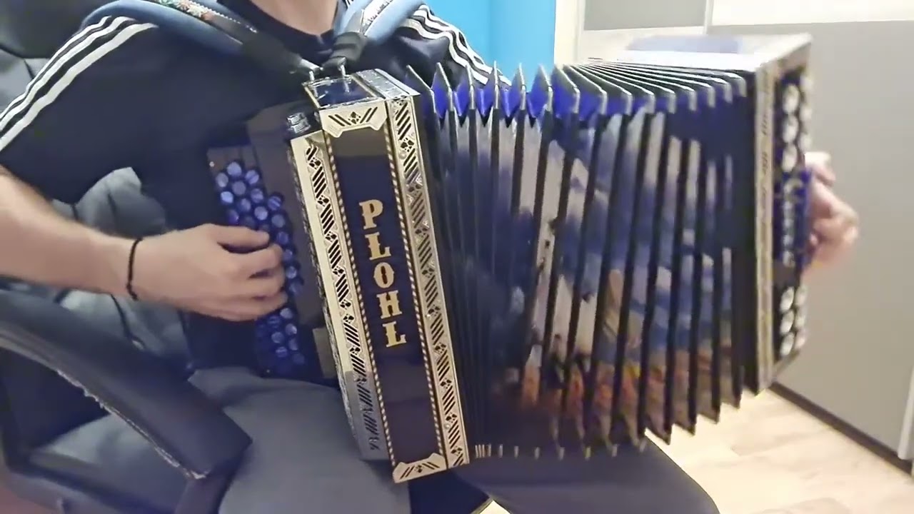 Bratje iz Oplotnice   Gozdarjeva povest