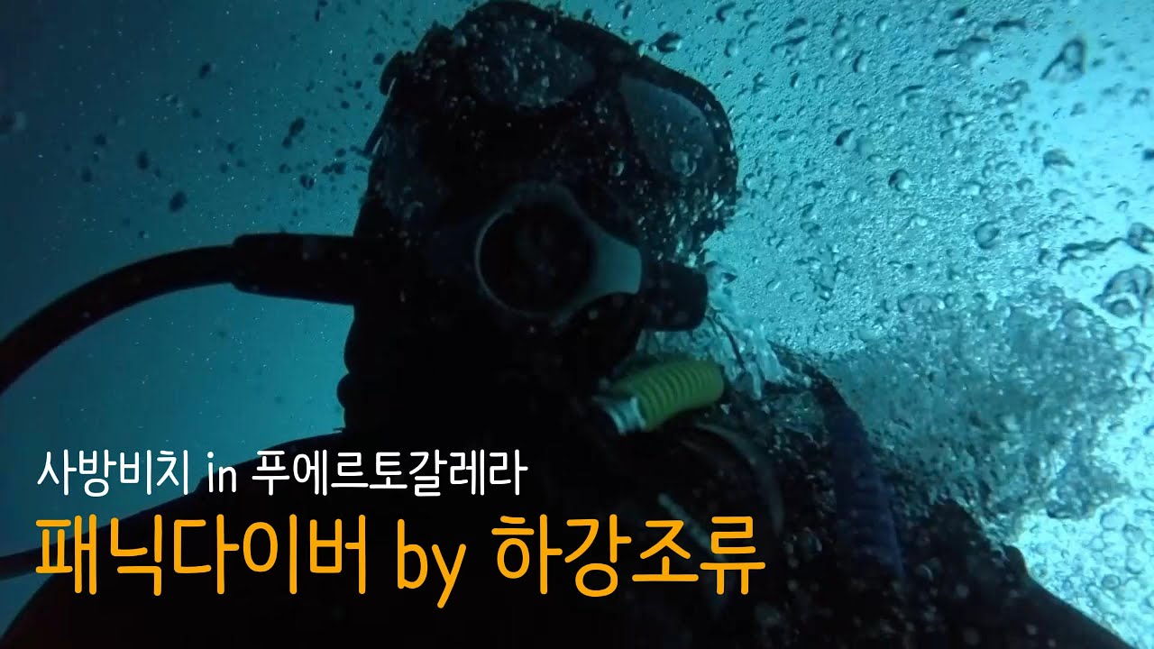 패닉다이버 by 하강조류 l 사방비치 in 푸에르토갈레라 1편