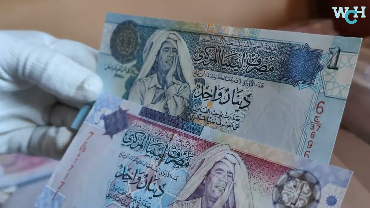 Sorting Commemorative Bank Note collection Unboxing World Currency coin Hub @worldcurrencyhunt