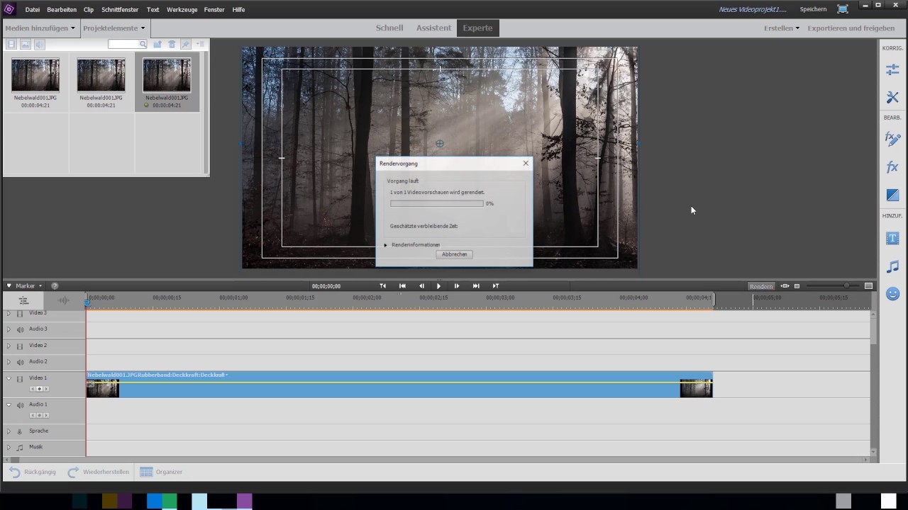 Timelapse Aufnahmen mit Premiere Elements produzieren - Naturbilder-Magazin