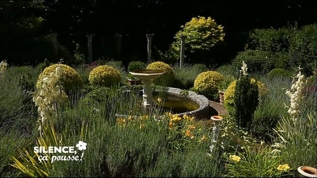 Visite du jardin de la Mansonnière - Silence, ça pousse !