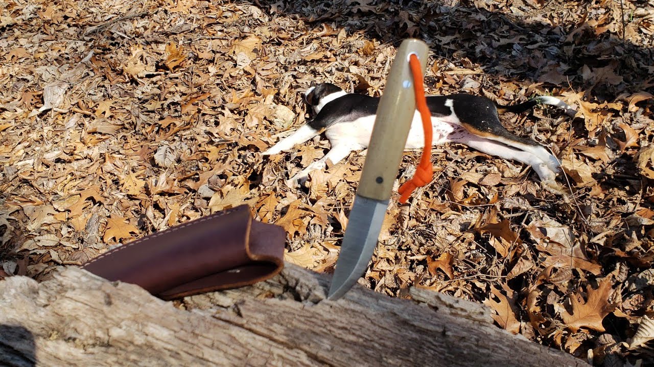 L T Wright Pronghorn.