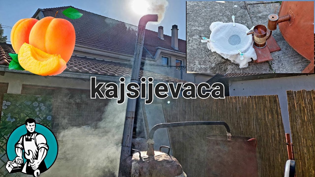 PECENJE NAJLEPSE RAKIJE !! ( KAJSIJA )