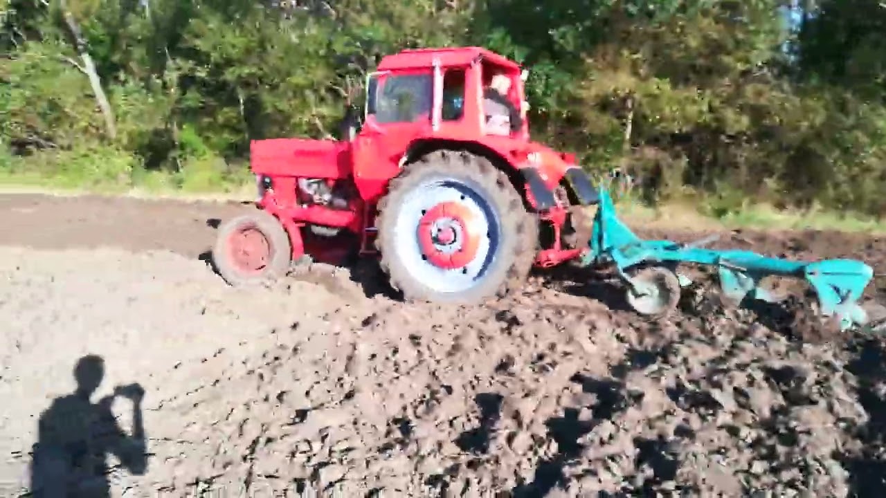Mtz 80 szántás