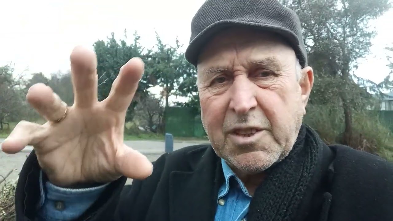 Zeytin Ağaçlarını İçeriden Dışarıya Doğru Çırpalım