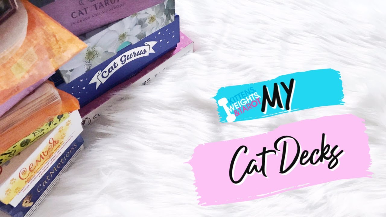 My Cat Decks🐱