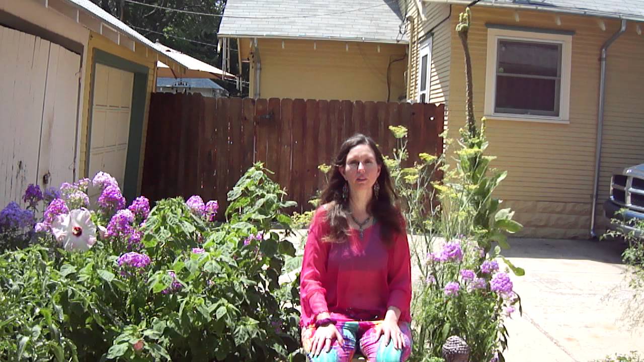 Awakening Your Inner Seer