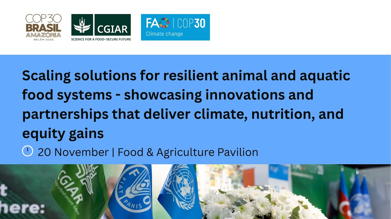 Scaling solutions for resilient animal and aquatic food systems
