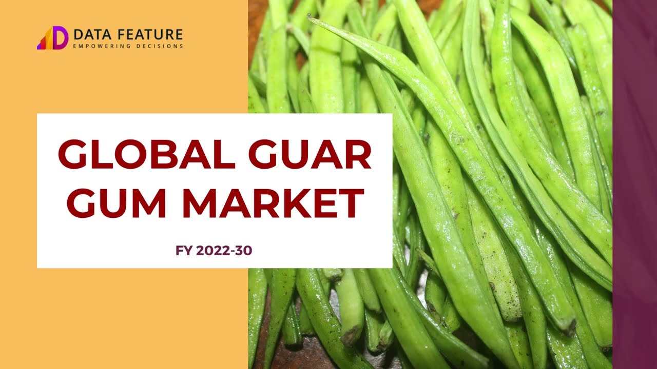 Global Guar Gum Market | Data Feature