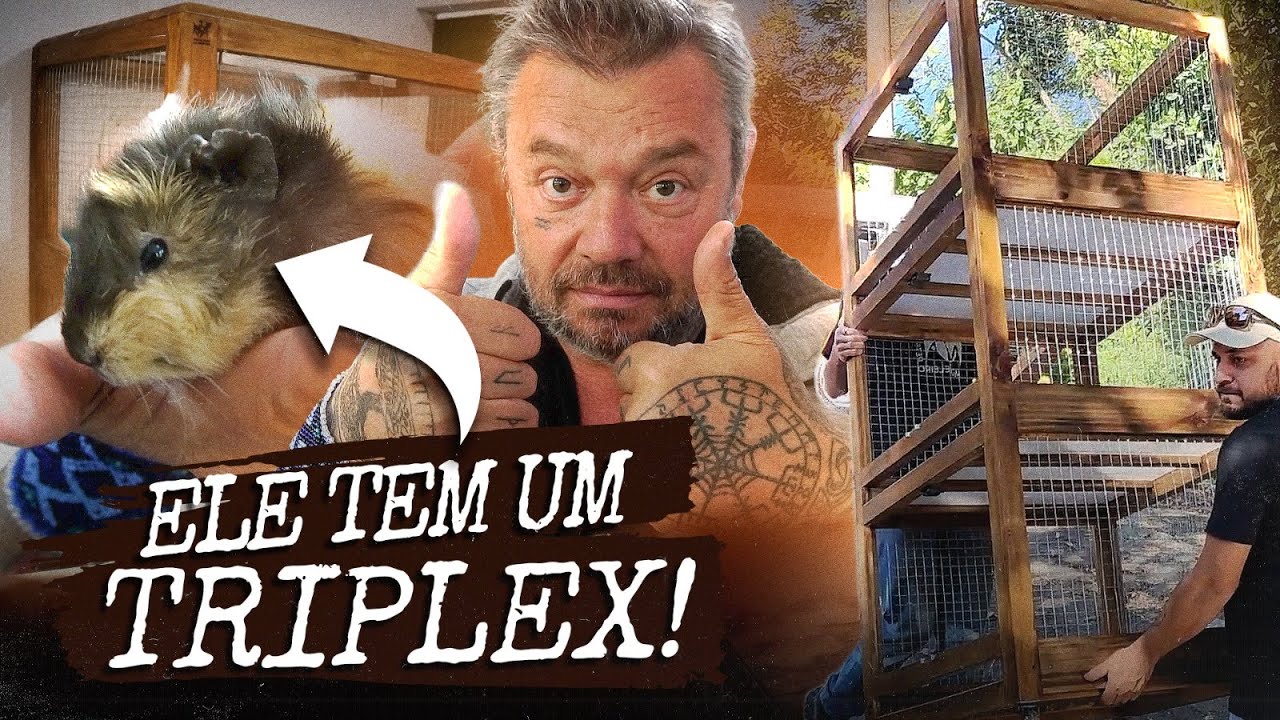 A NOVA CASA DOS MEUS PORQUINHOS DA ÍNDIA É UM MÓVEL DE LUXO! | A CASA DOS BICHOS