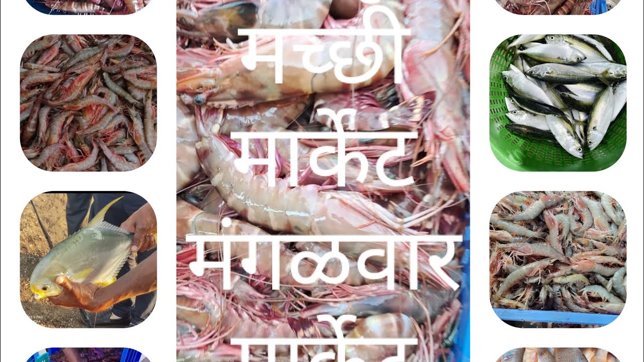 🙏 सोलापूर मच्छी मार्केट /मंगळवार मार्केट SOLAPUR FISH MARKET 🙏#solapurkar #solapurcity #fishmarket