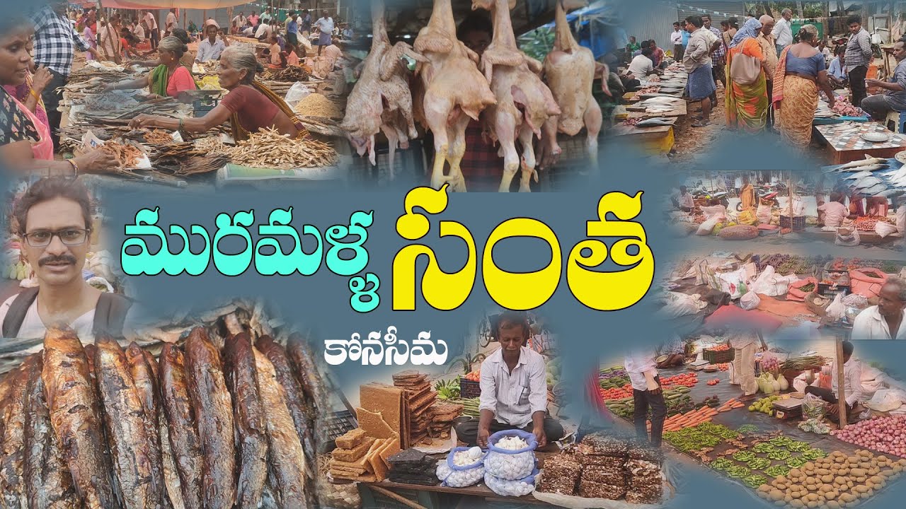 Muramalla santa konaseema Dry fish market మురమళ్ళ సంత కోనసీమ ఎండి చేపలు మార్కెట్