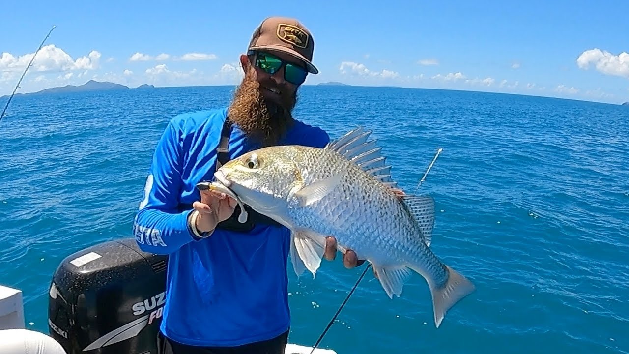 Light Tackle Inshore Soft Plastic Fishing in Mackay, QLD
