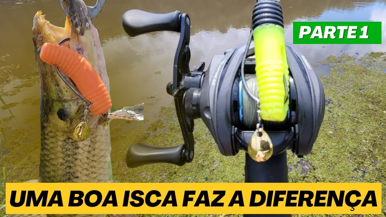 IMPRESSIONANTE COMO ESSA ISCA CHARUTINHO COM COLHER METÁLICA PEGA AS TRAÍRAS.