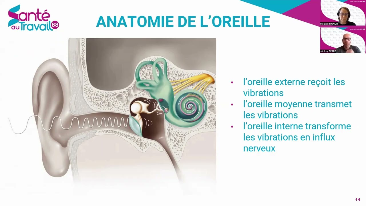 webinaire : le bruit au travail